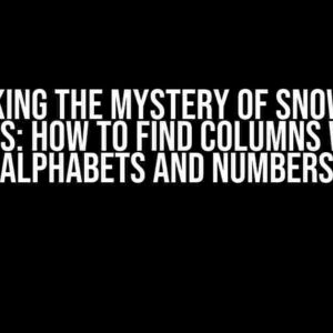 Unlocking the Mystery of Snowflake Records: How to Find Columns with No Alphabets and Numbers